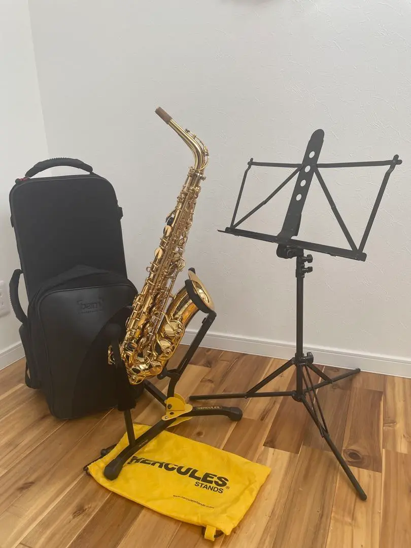 【新品未使用】YAMAHA YAS-875EXG 純正ケース YAMAHA YAS-875EX アルトサックス 純正ケース