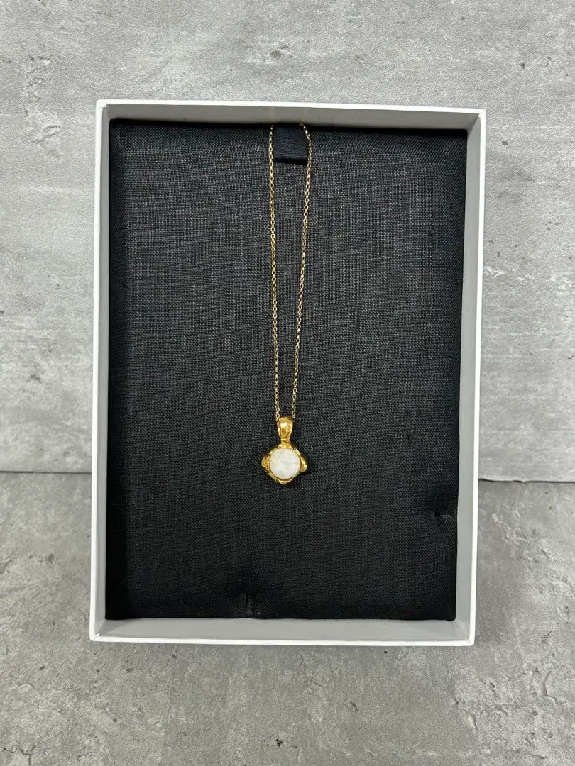 Alighieri 新品　フィッシュ　ネックレス　アリギエーリ　ペンダント　魚 Alighieri 新品 フィッシュ ネックレス アリギエーリ ペンダント