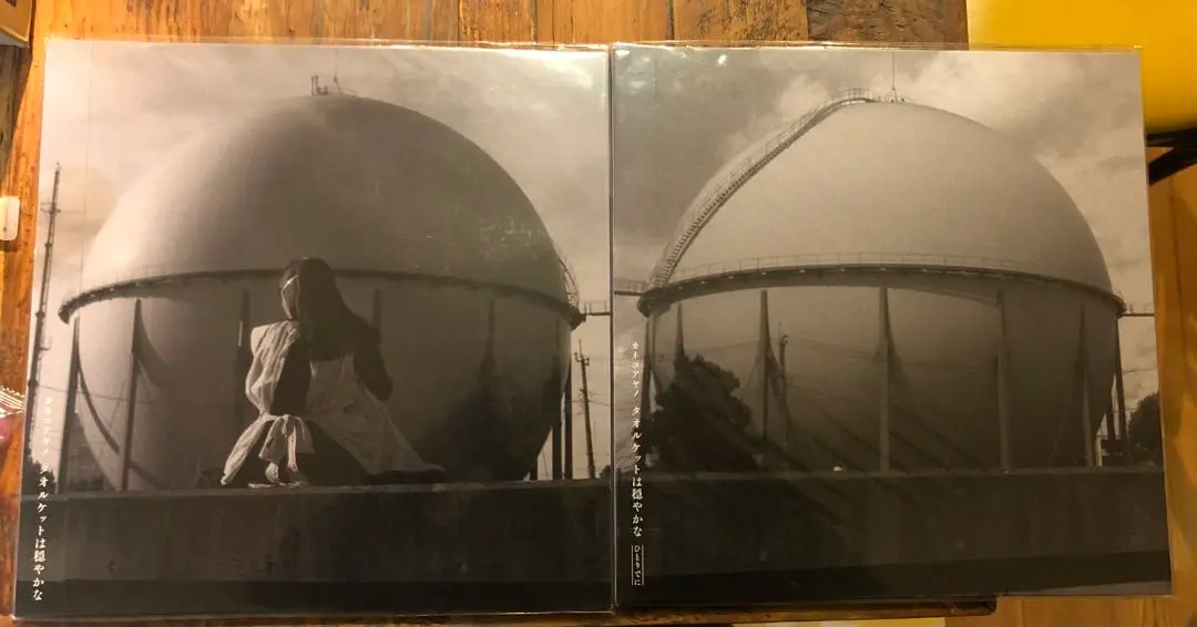カネコアヤノ タオルケットはおだやかな+ひとりでに LP2枚セット タオルケットは穏やかな/Kaneko Ayano/カネコアヤノ｜日本の