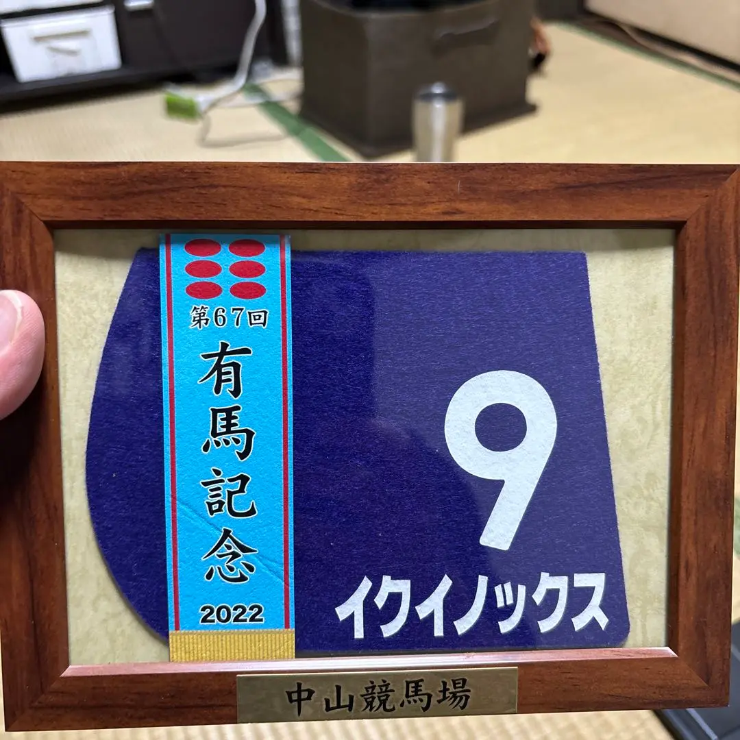 2025年最新】イクイノックス 有馬記念 ミニゼッケンの人気 2025年最新】イクイノックス 有馬記念 ミニゼッケンの人気