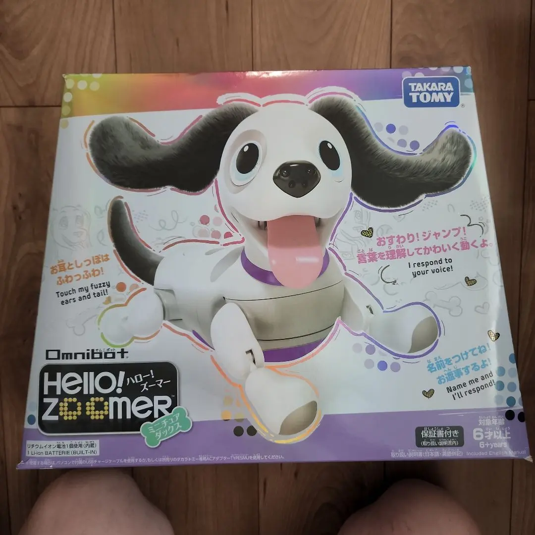 2025年最新】ハロー! ズーマー ミニチュアダックスの人気