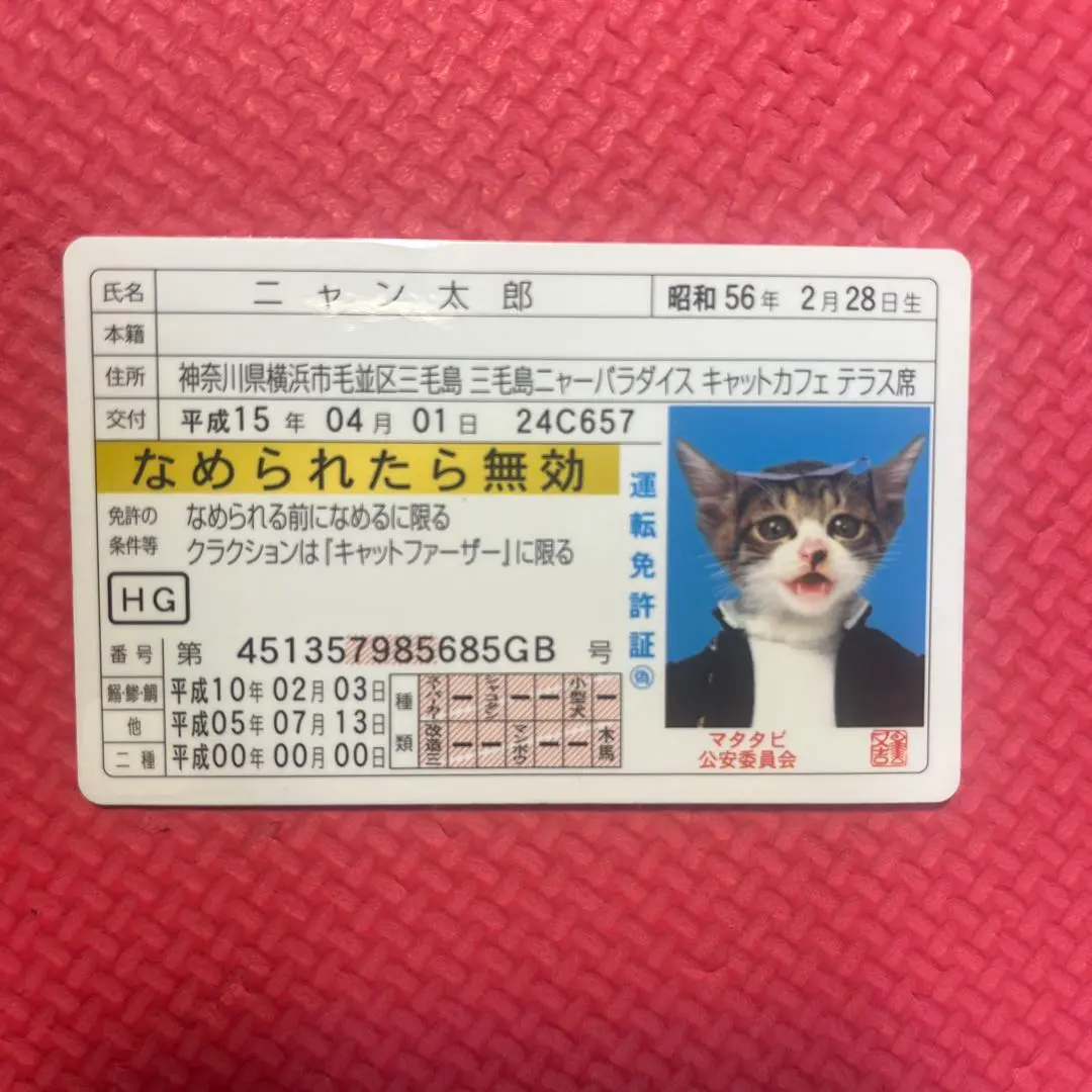 2025年最新】平成版なめ猫の人気アイテム - メルカリ