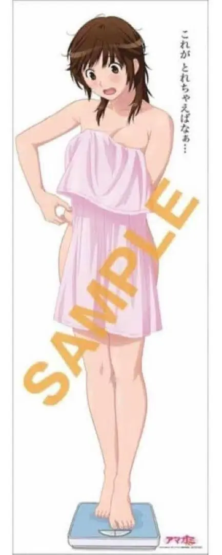 【新品未開封】アマガミSS+ ブルーレイ購入特典 等身大布ポスター 6枚セット 新品未開封】アマガミSS+ ブルーレイ購入特典 等身大布ポスター