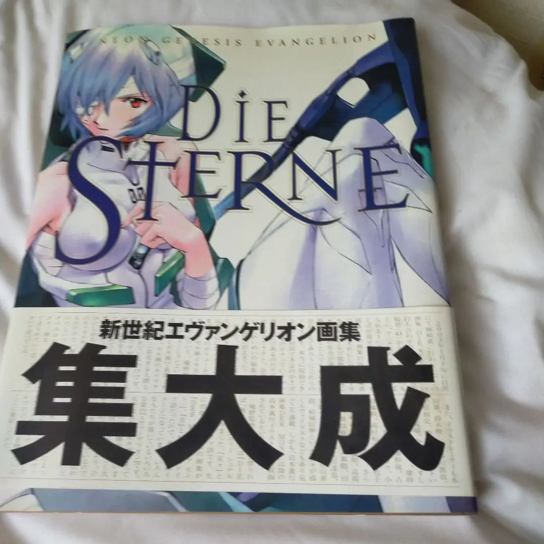 2025年最新】エヴァンゲリオン画集 sterne dieの人気アイテム