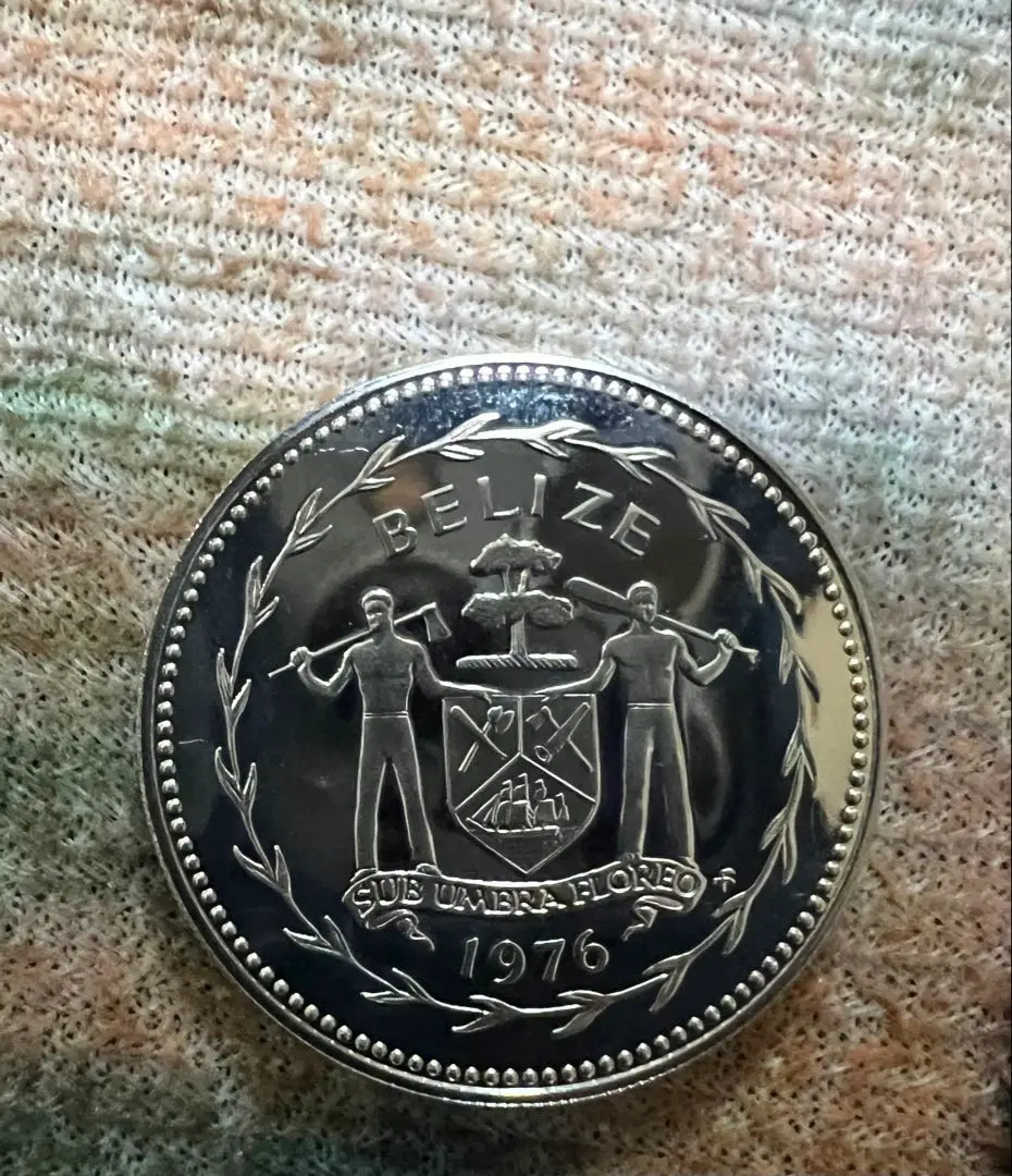 1979年 ベリーズ 10ドル 銀貨プルーフ完未 2025年最新】ベリーズ プルーフの人気アイテム - メルカリ