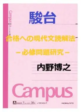 ライジング現代文 　初版　大学受験　絶版　書き込み無し　内野博之　駿台　東京大学 ライジング現代文 初版 大学受験 絶版 書き込み無し 内野博之