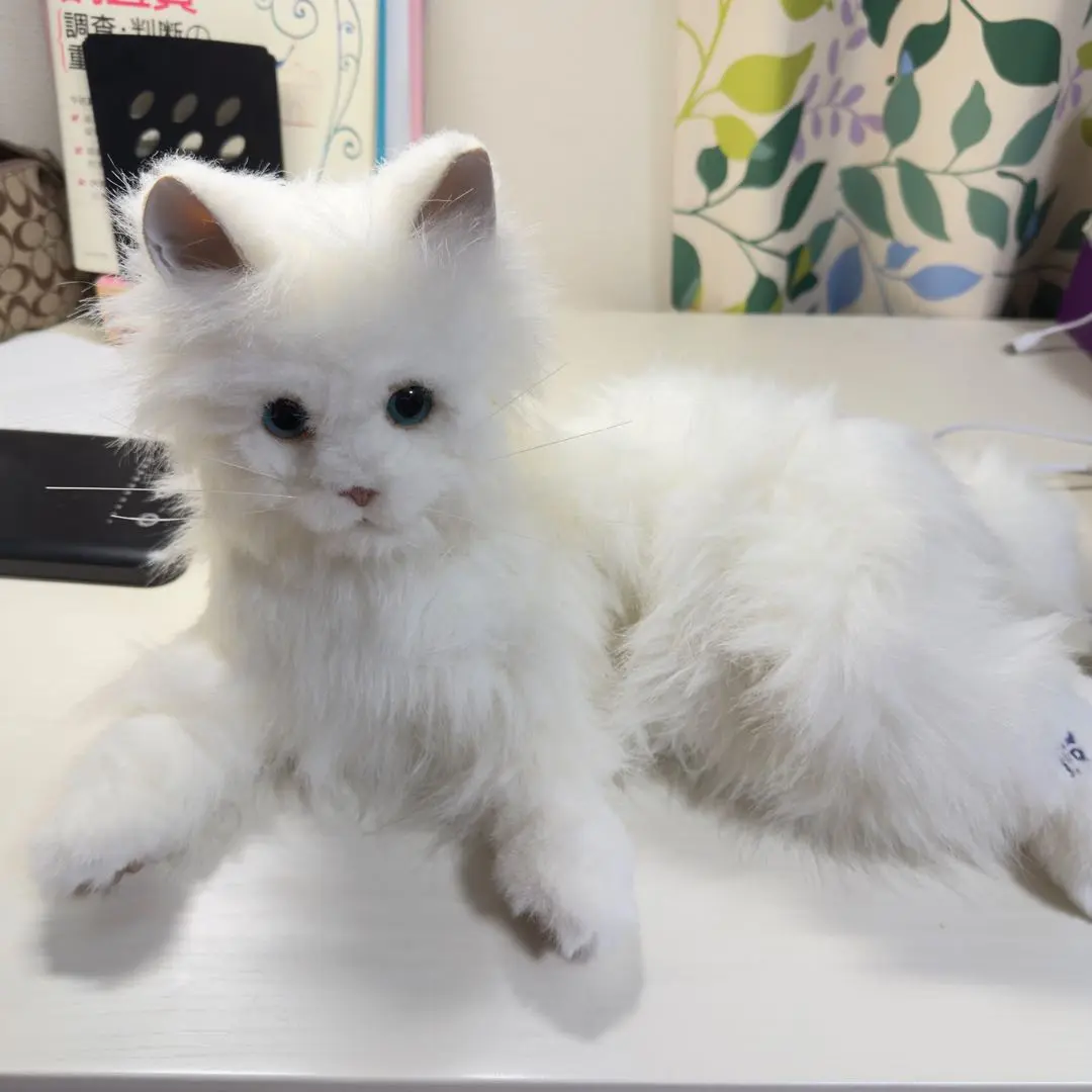 希少品★ 夢ねこヴィーナス　新品未開封 Amazon.co.jp: 夢ねこ ヴィーナス : おもちゃ