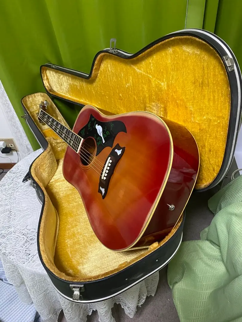 ギター アコギ　FenderJapan エレアコ 日本製 Amazon.co.jp: Fender エレアコギター Villager 12-String