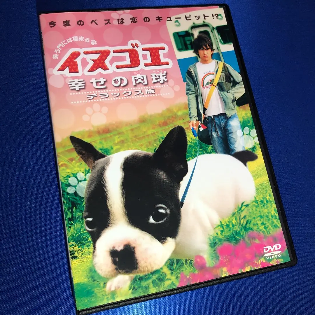 超稀少】イヌゴエ DVD-BOX 6枚組特典未開封【綾野剛初期作品】