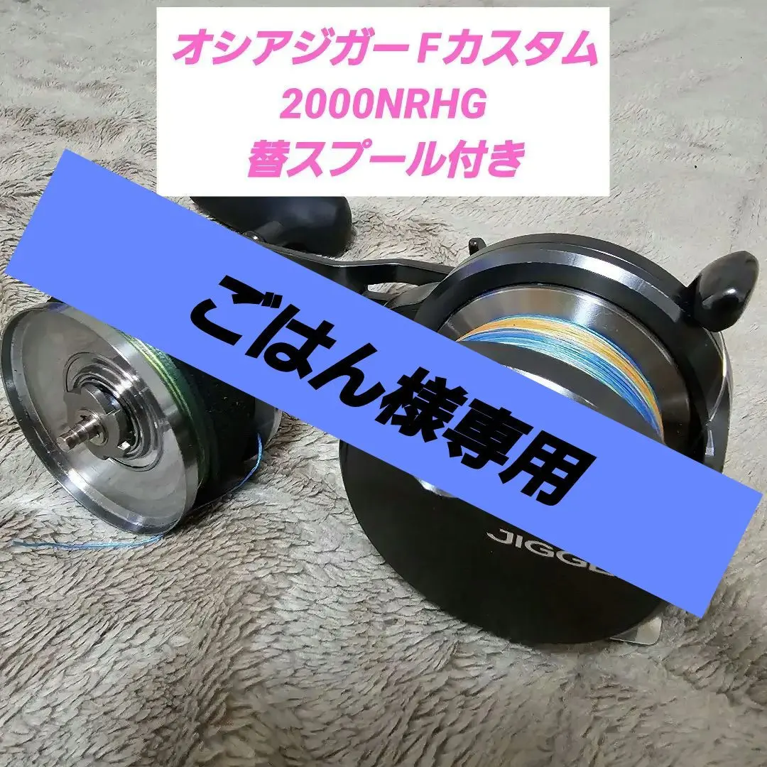 オシアジガーFカスタム2000NR HG PE無し❗️
