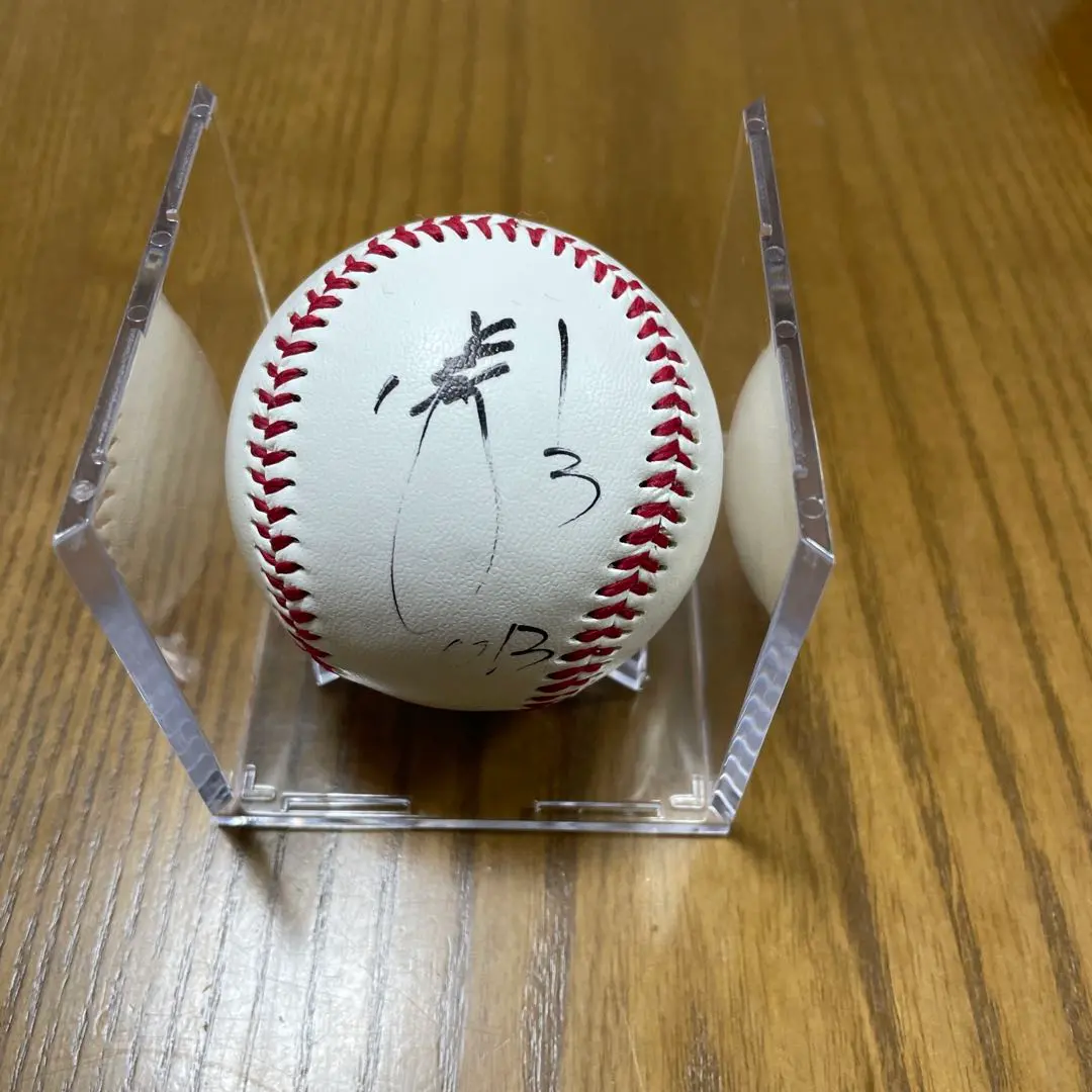 関本賢太郎 (阪神タイガース) 実使用 スパイク game used 2025年最新】Yahoo!オークション -阪神 実使用の中古品・新品