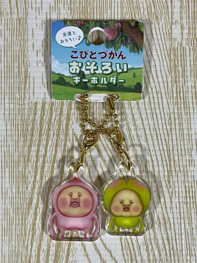 【SALE】リーメント こびとづかん 立体マグネット 全6点 フィギュア 磁石 2025年最新】こびとづかん磁石の人気アイテム - メルカリ