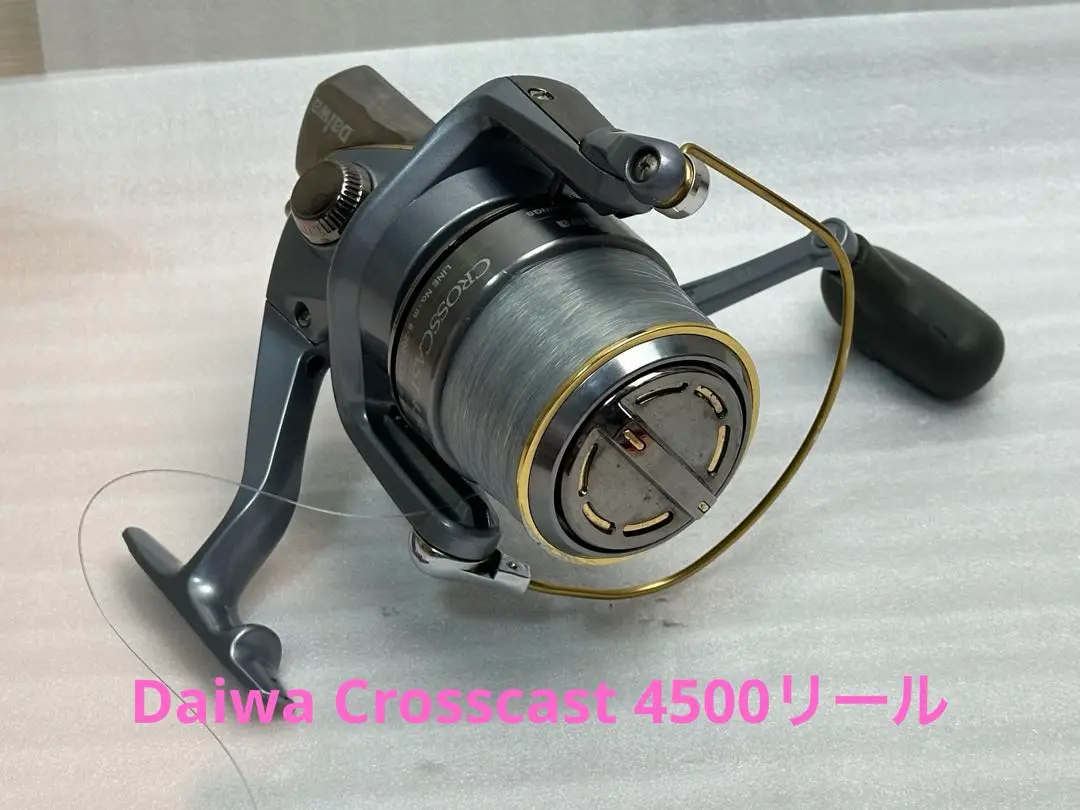 m83730383744_1.jpg?1710042047