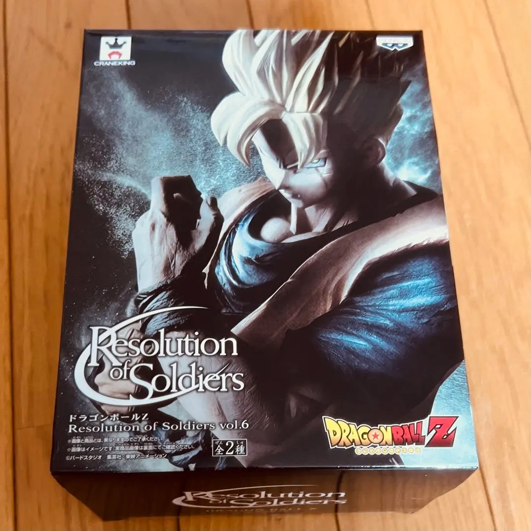 2025年最新】ドラゴンボールz resolution of soldiers vol.6 孫