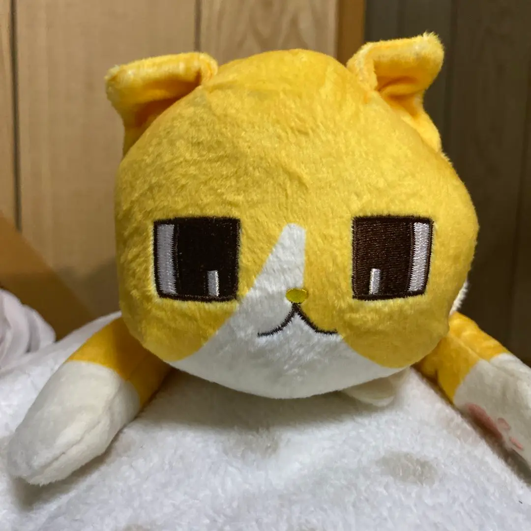 Eve 歌い手 管理人さんのねこセット Eve 歌い手 管理人さんのねこセット