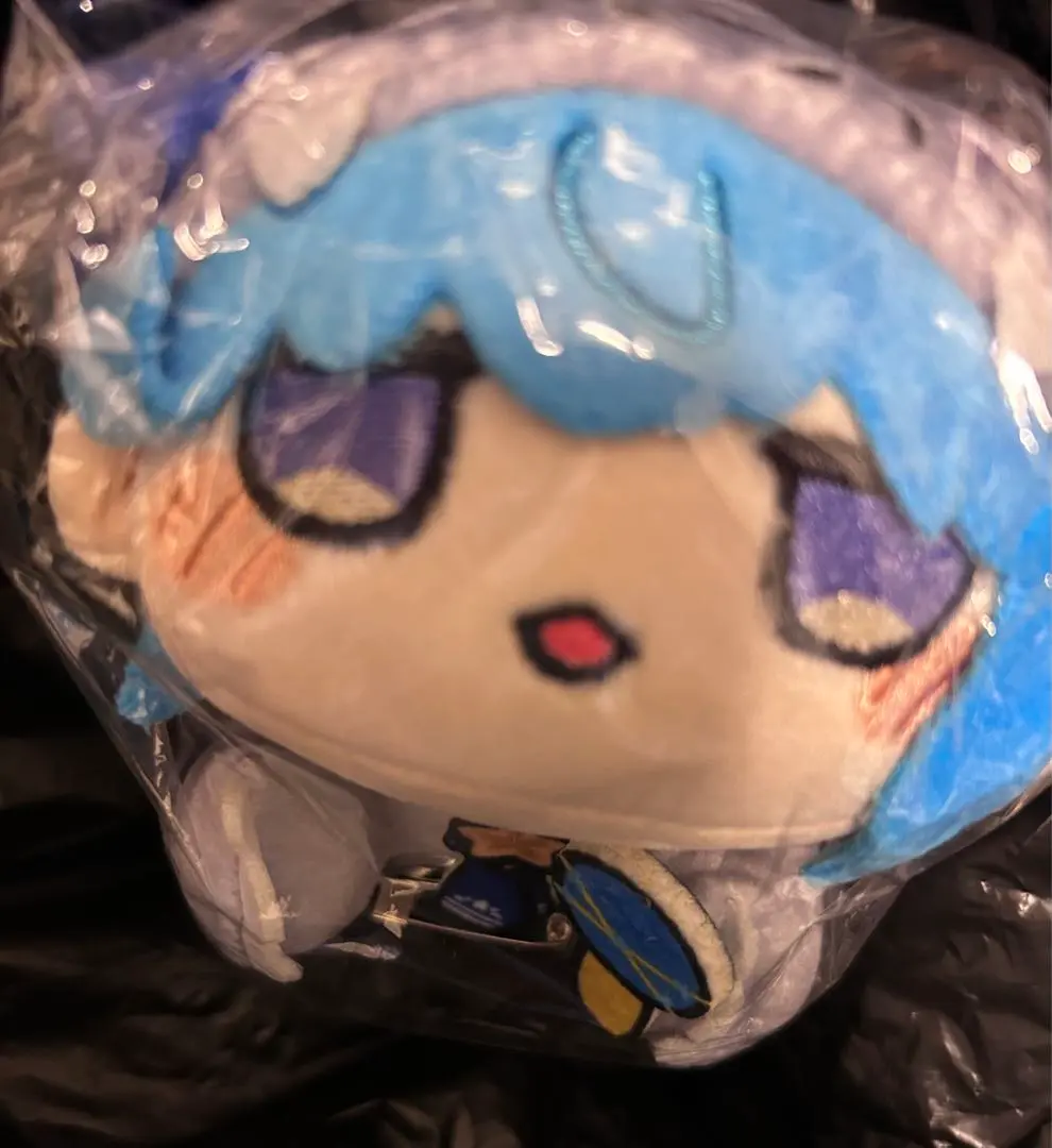 hololive - 星街すいせい　ホロライブ　寝そべりぬいぐるみ　台湾　台南ランタンフェスティバル Amazon.co.jp: 星街※すいせい ホロ *ライブ ぬいぐるみ 寝そべり