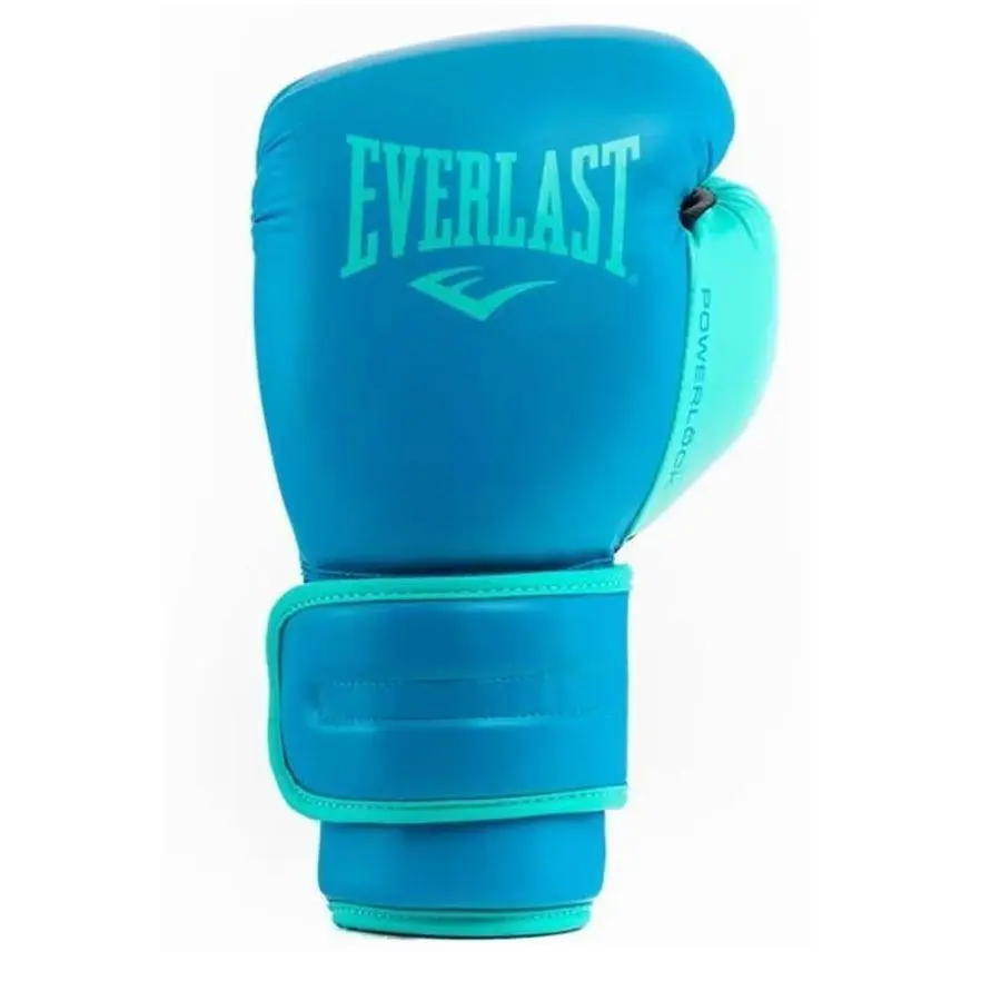 最終値下げ　美品　エバーラスト　パワーロック2 12oz ボクシング Everlastエバーラストパワーロック2 プロファイトモデル