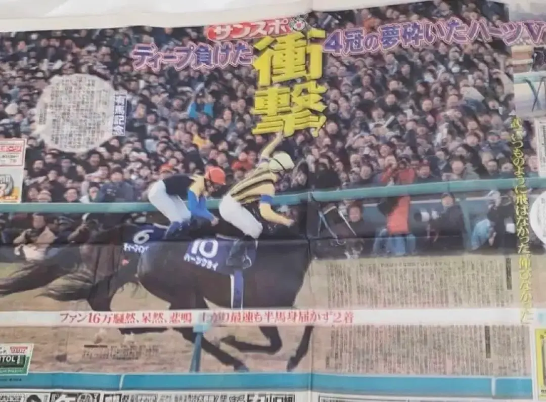 1977年有馬記念写真パネル 🍀Congratulations photo of the day🍀. 🏆 @kyouga_composer