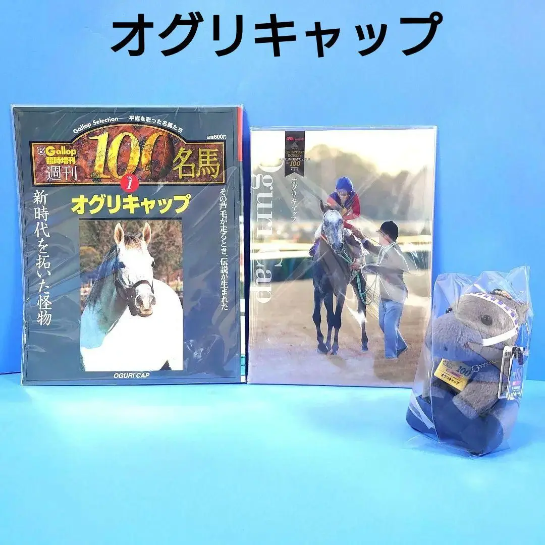 競馬　アイドルホース　オルフェーヴル　優駿BEST100 未使用　Mサイズ 競馬 アイドルホース オルフェーヴル 優駿BEST100 未使用 M