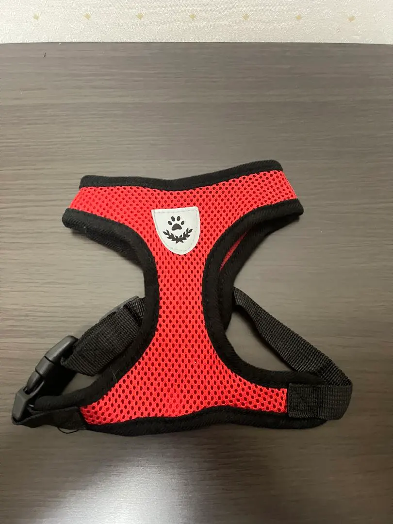 Thumbnail of dog, dock, harness, walk