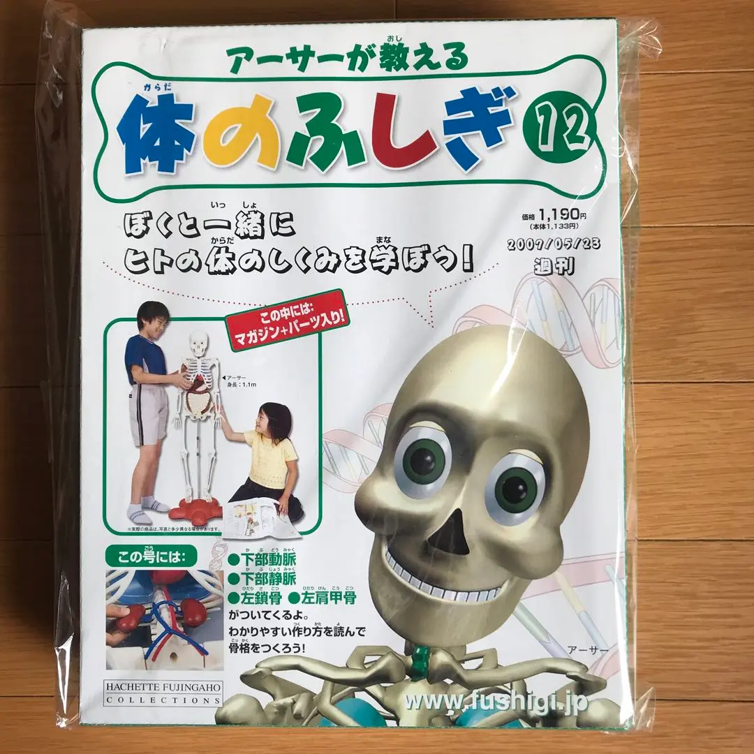 未使用】アーサーが教える体のふしぎ［約¥65,000分］の通販 by