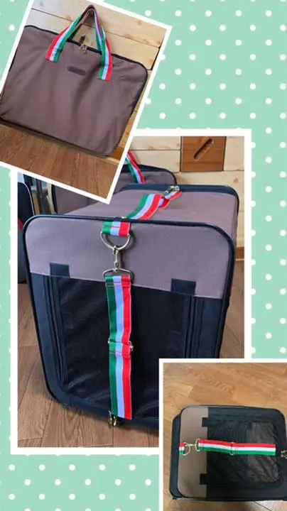 超希少／GUCCI　ペットキャリー　GG柄　キャンバス ウェブ ストライプ付き GG スモール ペット キャリーベージュ