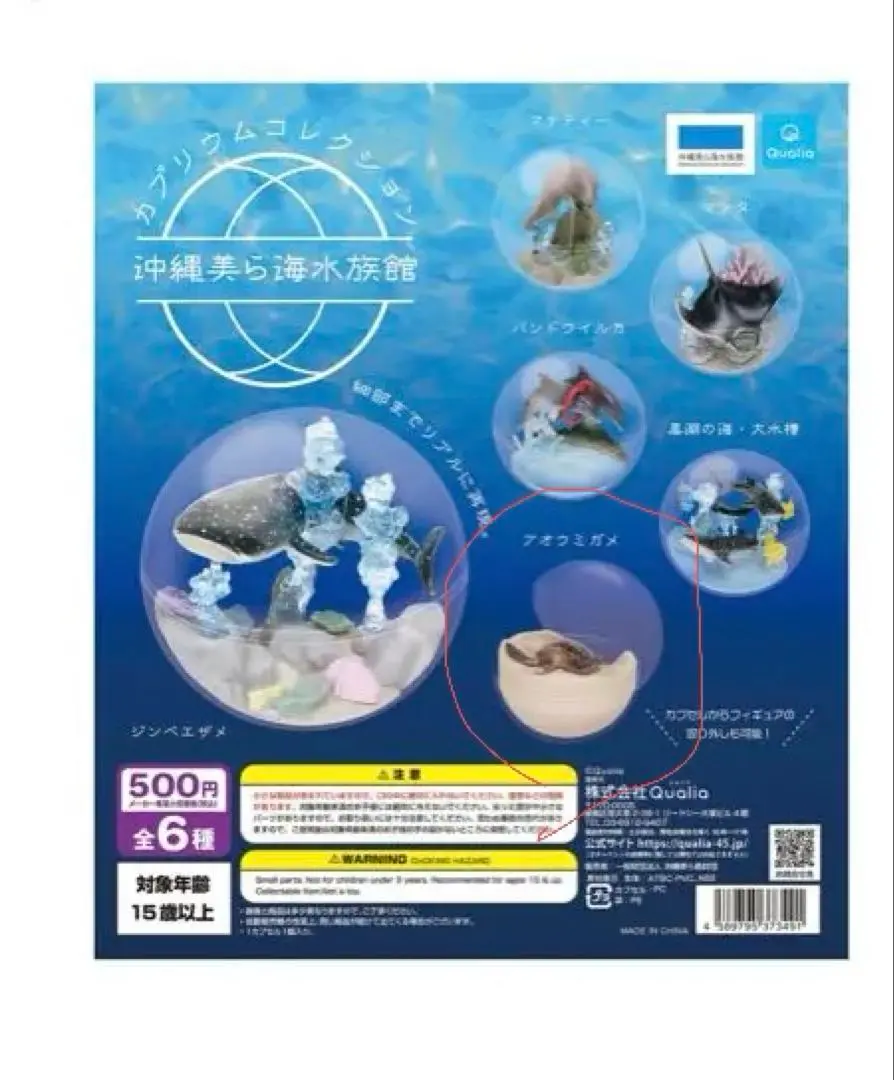 2025年最新】カプリウムコレクション沖縄美ら海水族館の人気