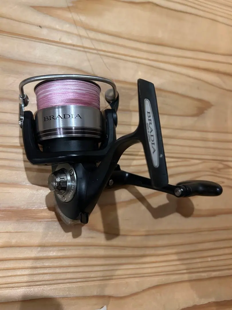 2025年最新】ダイワ ブラディアの人気アイテム - メルカリ