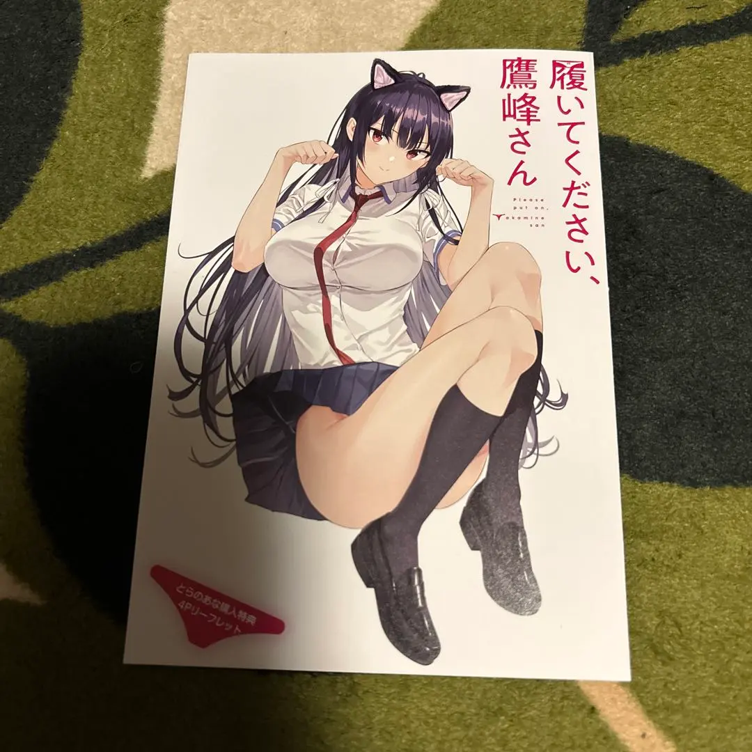 Thumbnail of Please put them on, Takamine-san 4P Leaflet