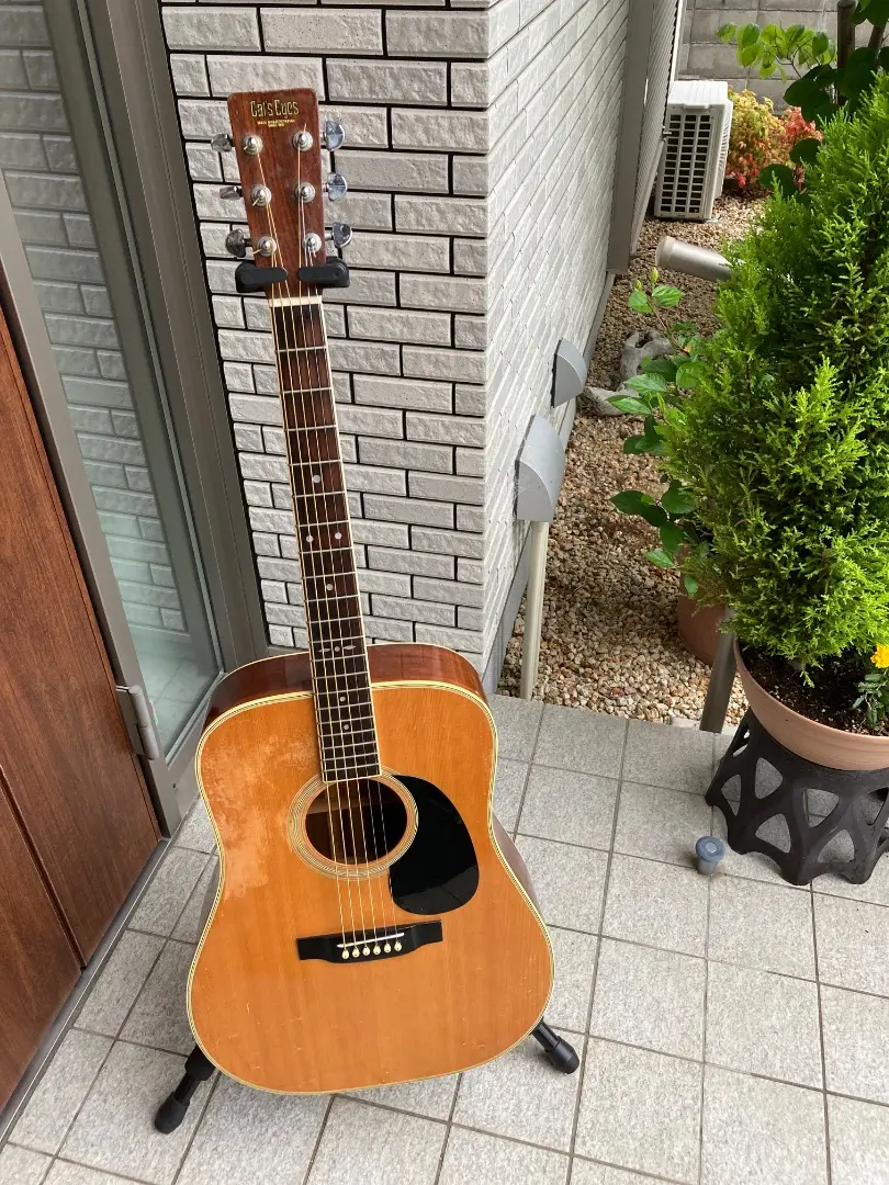 新品弦交換済 激鳴 TOKAI CE-150 CAT'S EYES アコギ 2025年最新】東海楽器 キャッツアイの人気アイテム - メルカリ
