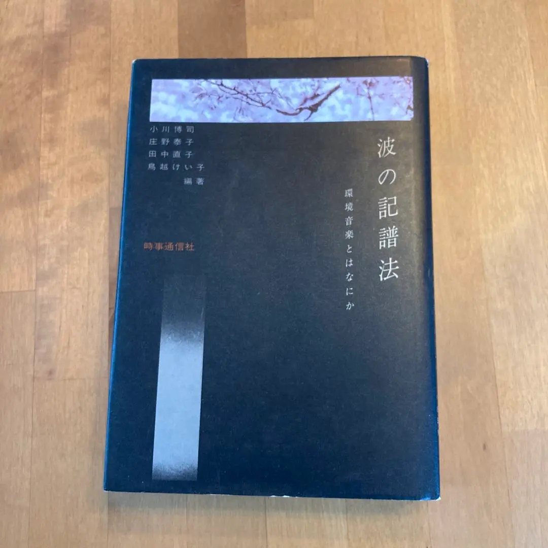 波の記譜法　環境音楽とはなにか 波の記譜法 - 環境音楽とはなにか - wordsong