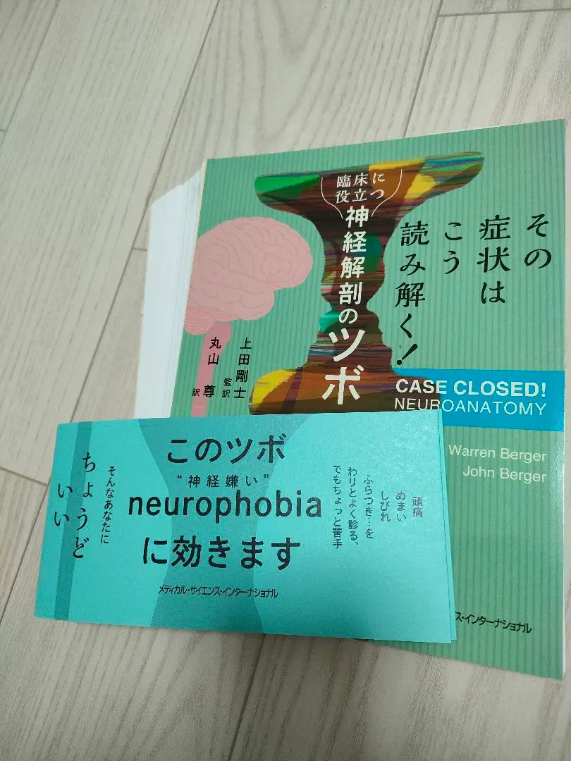 臨床経穴局所解剖学カラ-アトラス 五面展開図での解説/文光堂/白石尚基（単行本） 最終値下げ】臨床経穴局所解剖学カラーアトラス 五面展開図での解説