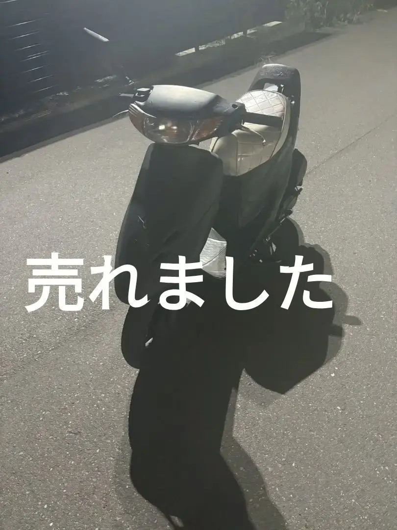 しろさん専用 しろたん ビッグTシャツ 半袖 《ONAKA SUITA》 フリーサイズ