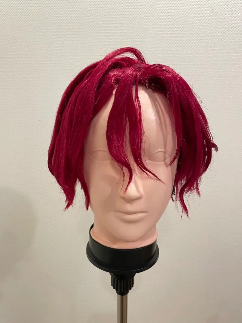 カリスマ 天堂天彦 コスプレウィッグ コスプレ衣装
