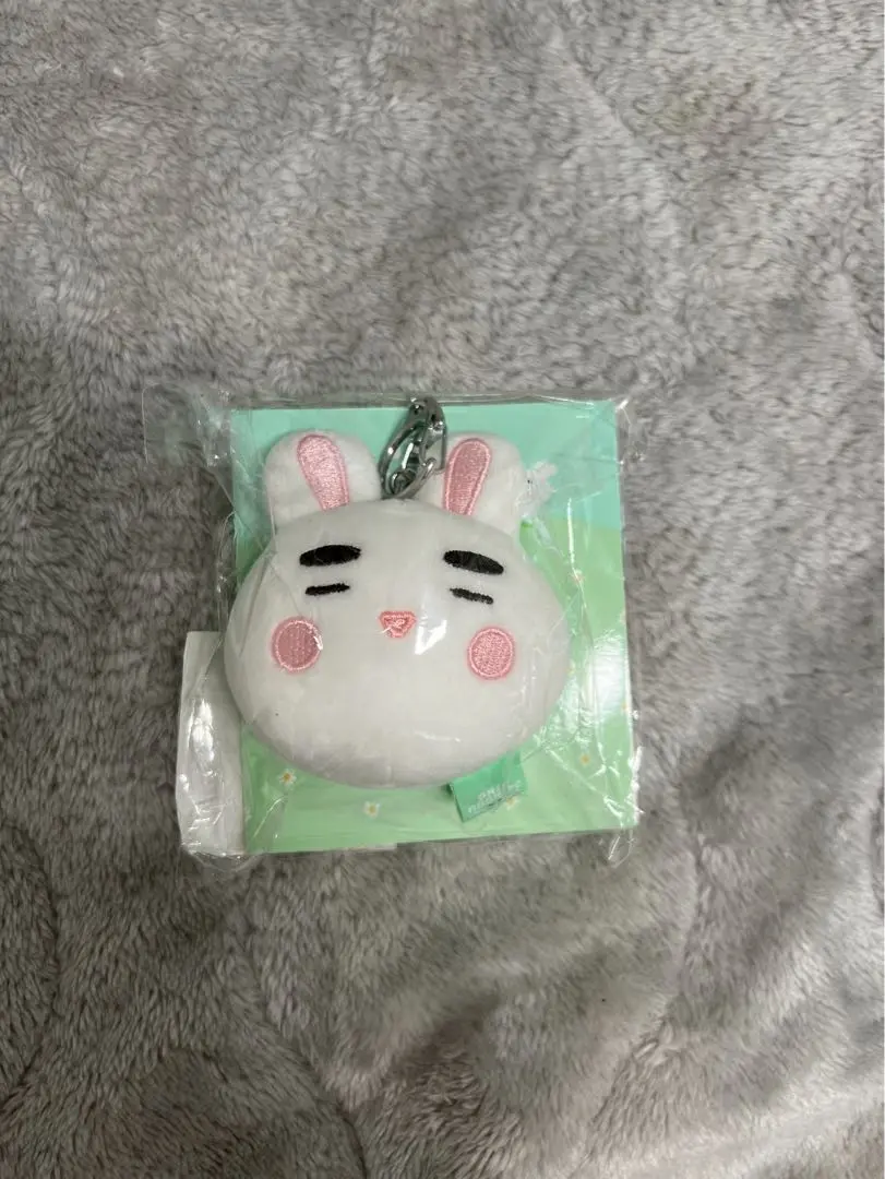 【新品未開封】SHINee オニュ うさぎ ぬいぐるみ キーリング 2025年最新】オニュ うさぎ キーホルダーの人気アイテム - メルカリ