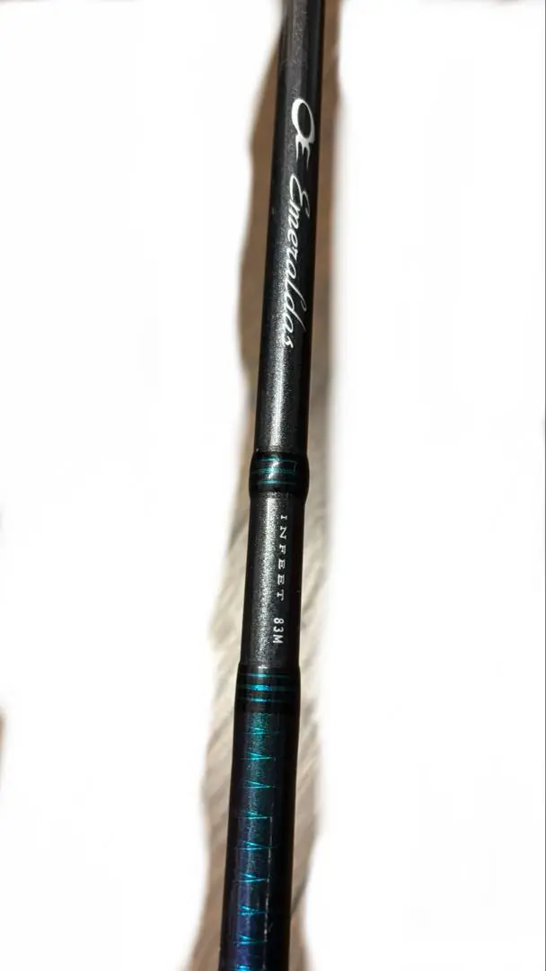 ☆美品DAIWA ダイワ INFEET VR90MHRS シーバス・アキアジ☆