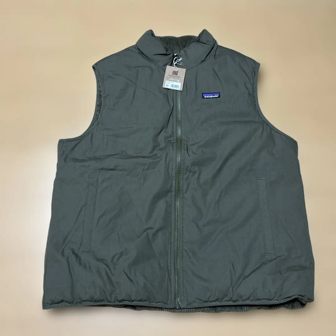 2025年最新】Patagonia mars ベストの人気アイテム - メルカリ