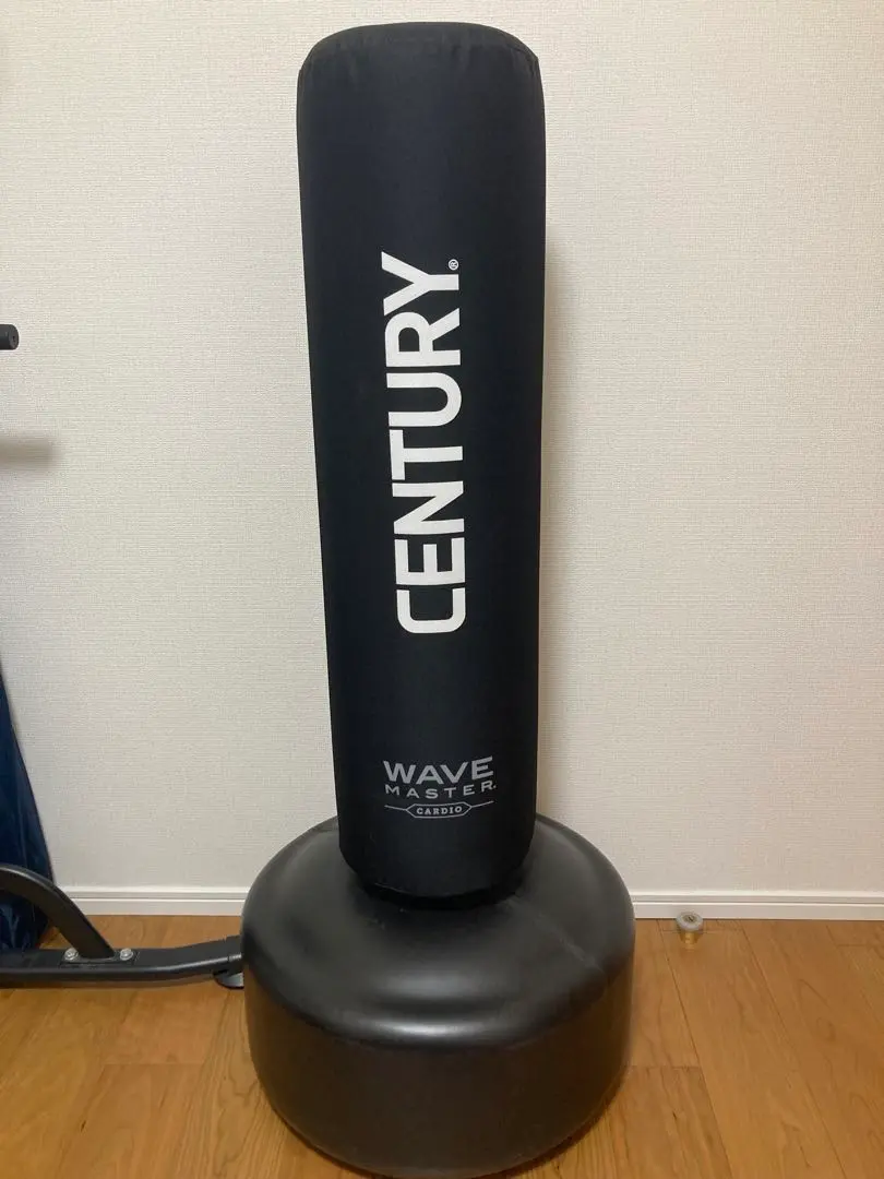 2025年最新】century サンドバッグの人気アイテム - メルカリ