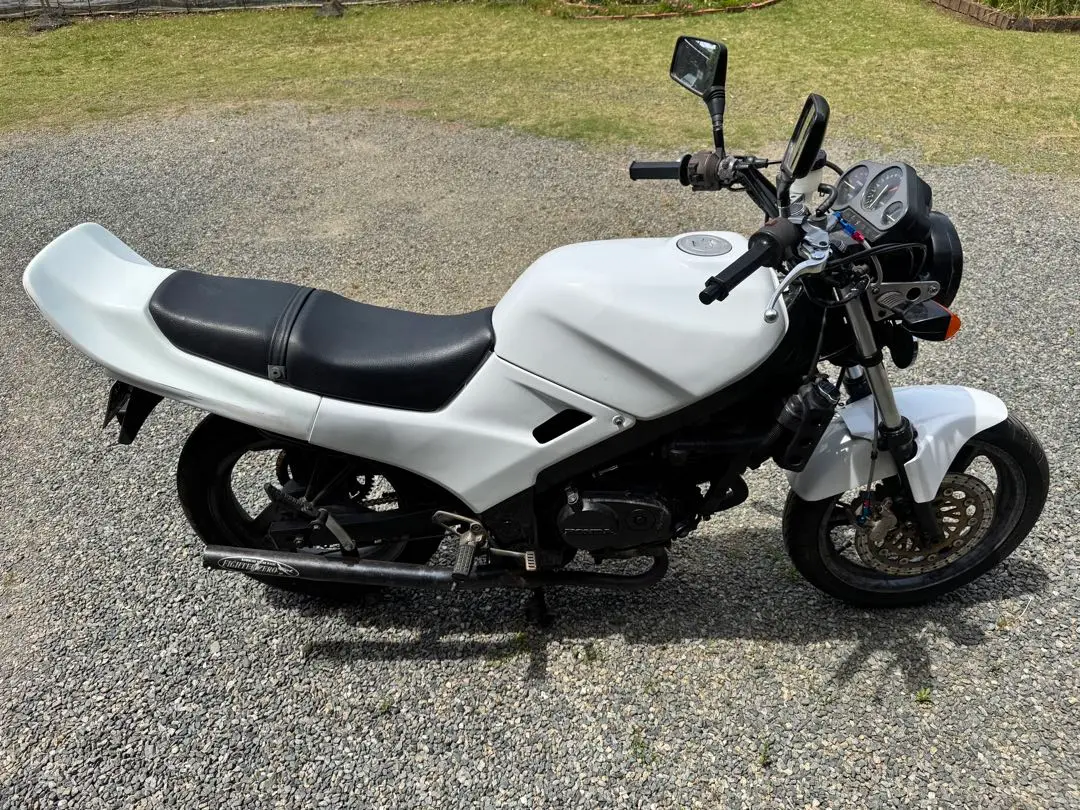 vtz250羽テール（黒色） 2025年最新】VTZ250 テールの人気アイテム - メルカリ