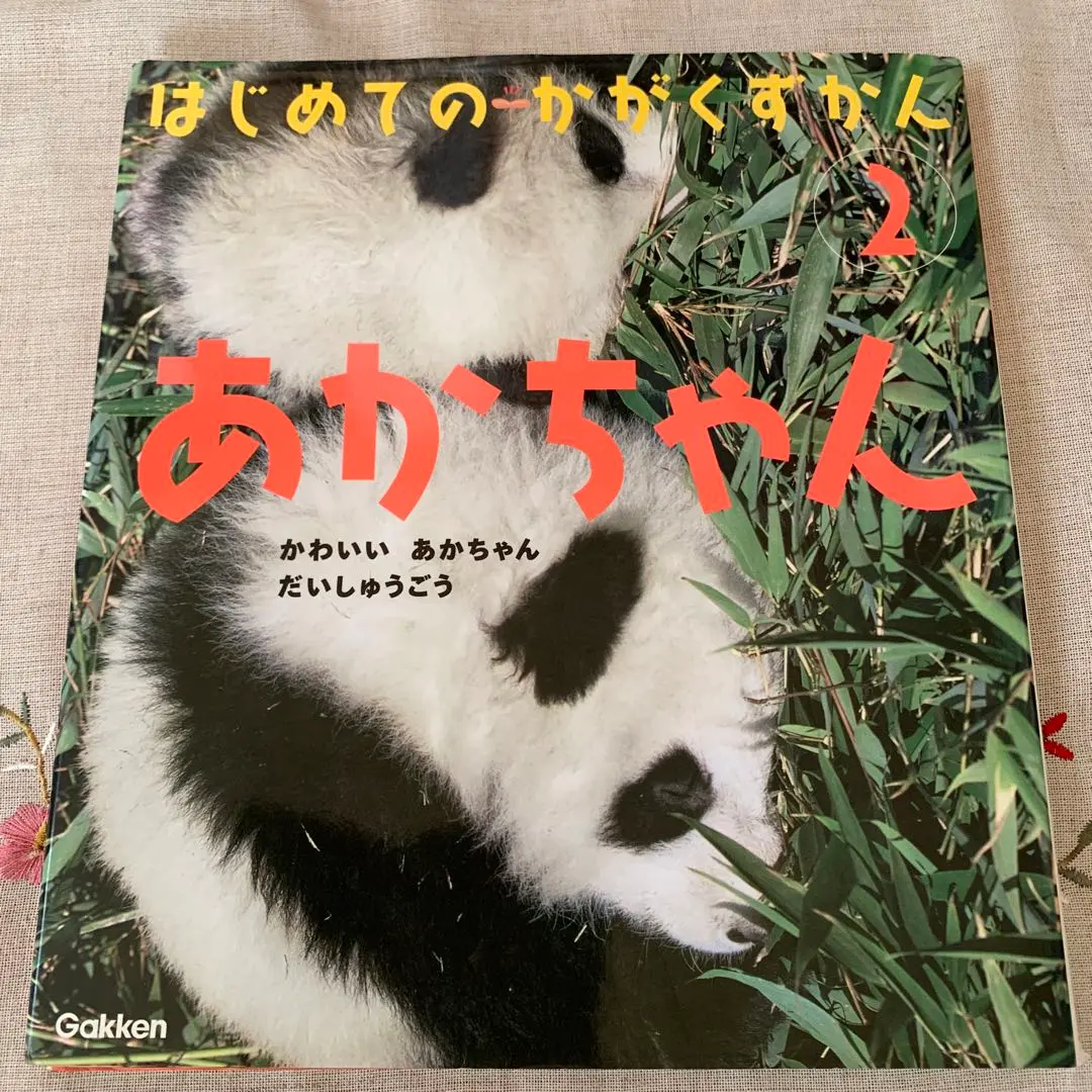 はじめてのかがくずかん 12冊セット はじめてのかがくずかん 12冊セットの通販 by sky's shop｜ラクマ