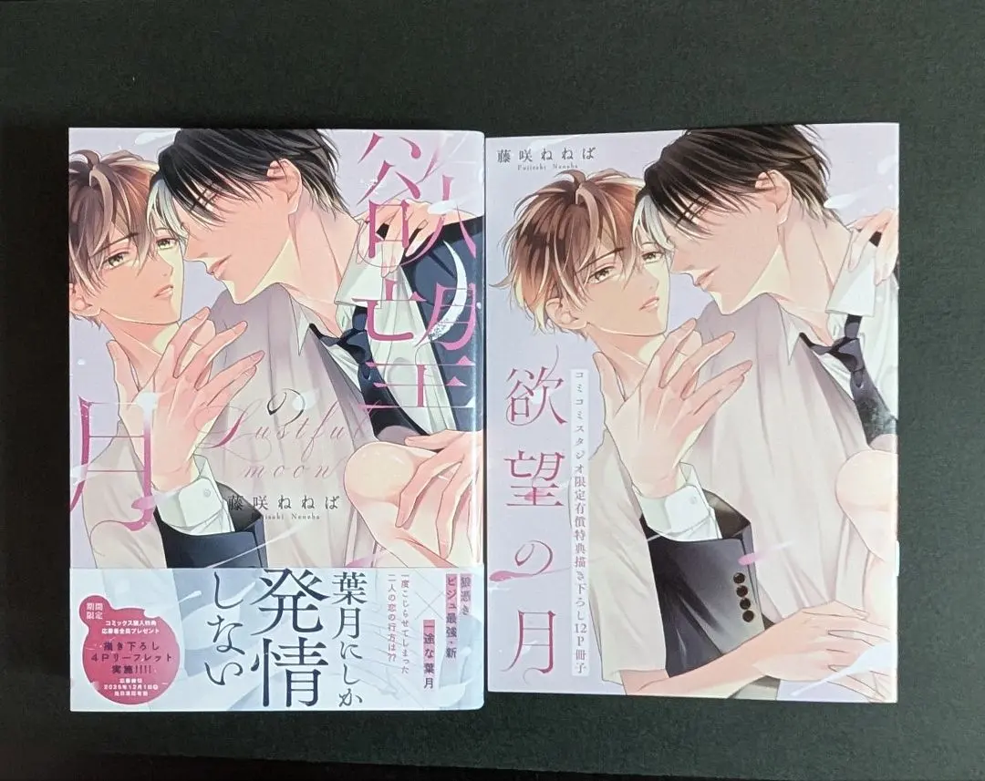 Thumbnail of Desire's Moon by Nene Fujisaki