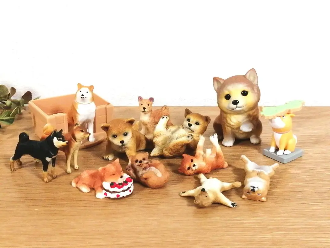 2025年最新】アニア 柴犬の人気アイテム - メルカリ