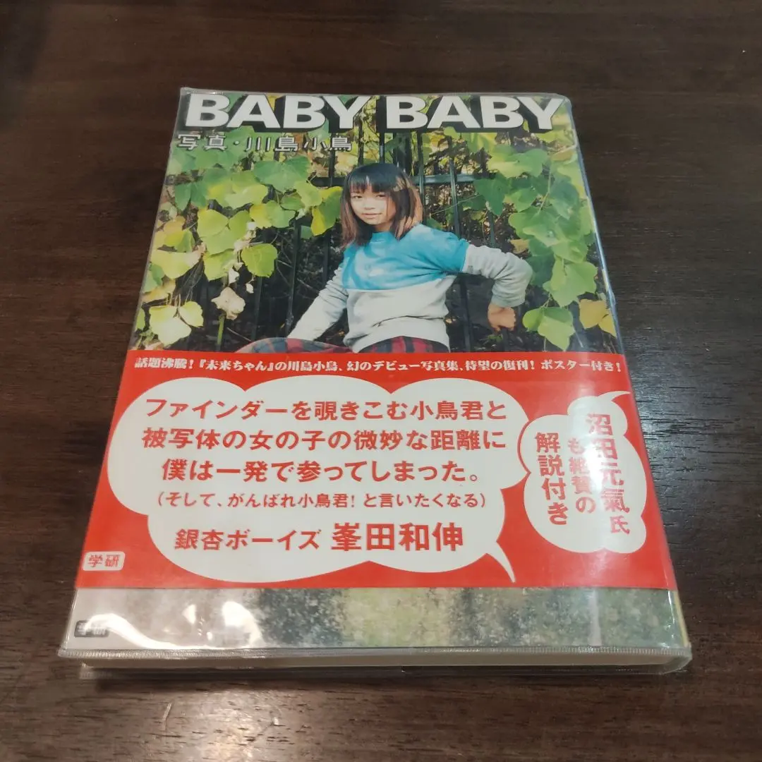 川島小鳥 BABY BABY 写真集 特製両面ポスター付 帯あり 2011 川島小鳥 BABY BABY 写真集 特製両面ポスター付 帯あり 2011