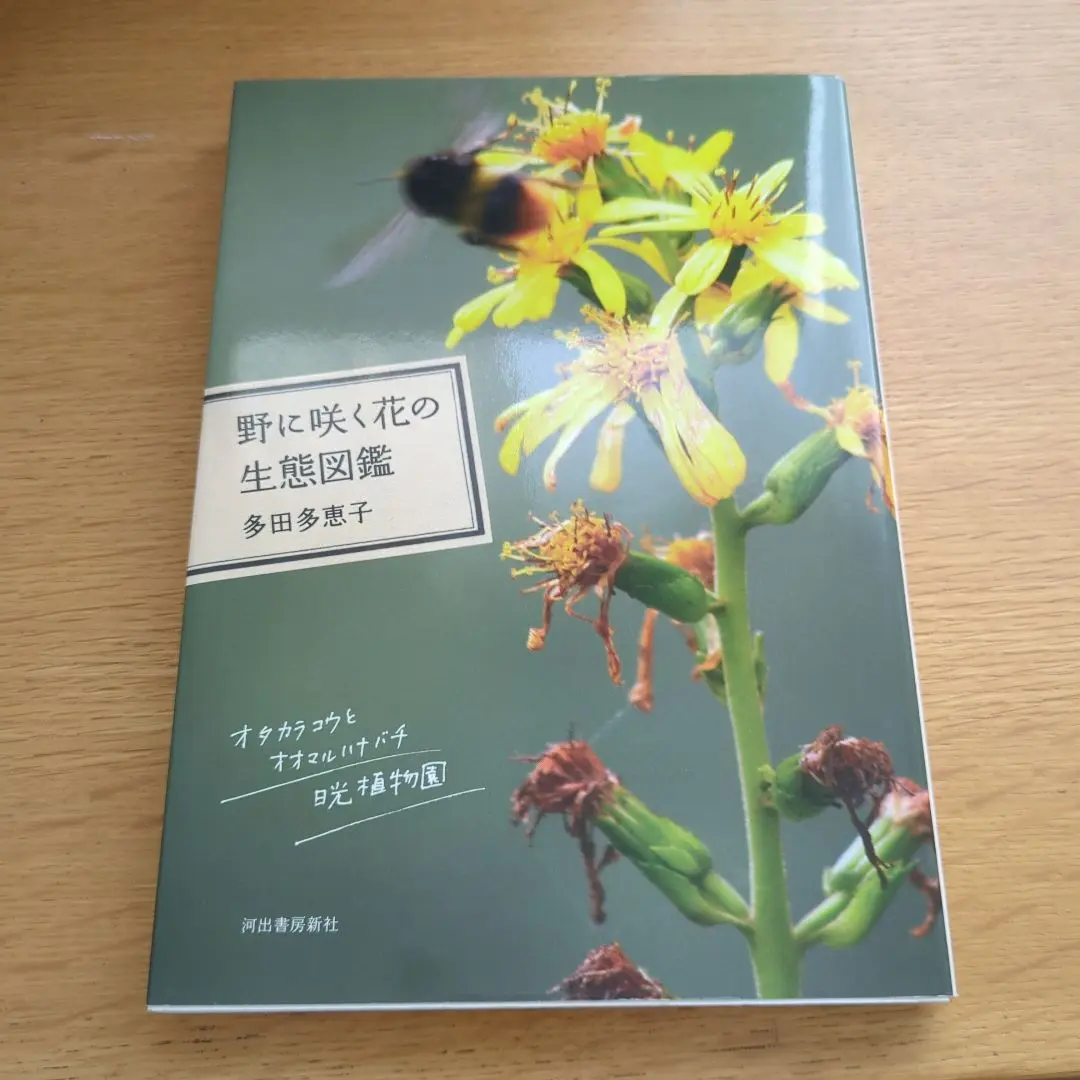 野に咲く花、樹に咲く花　5冊セット 野に咲く花、樹に咲く花 5冊セット