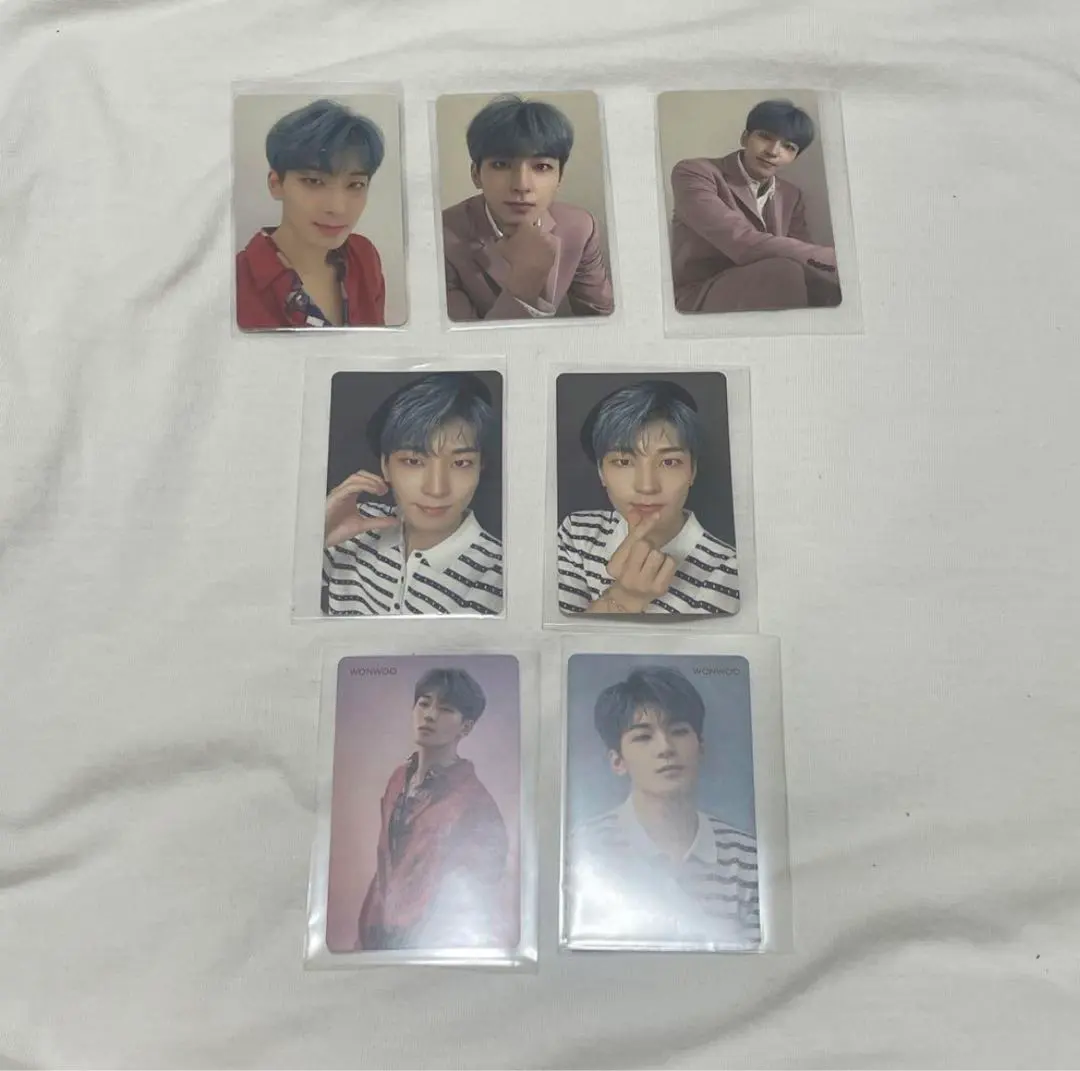 Thumbnail of Wonwoo - Falling Flower Petals