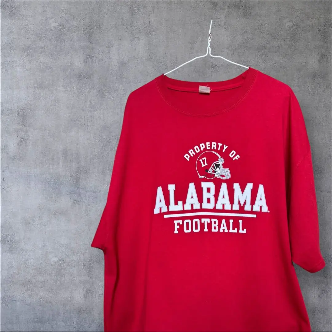 vintage Hanes Sport アメリカンフットボールシャツ 69 1960s Vintage Hanes Plain Football T-Shirt ヴィンテージ