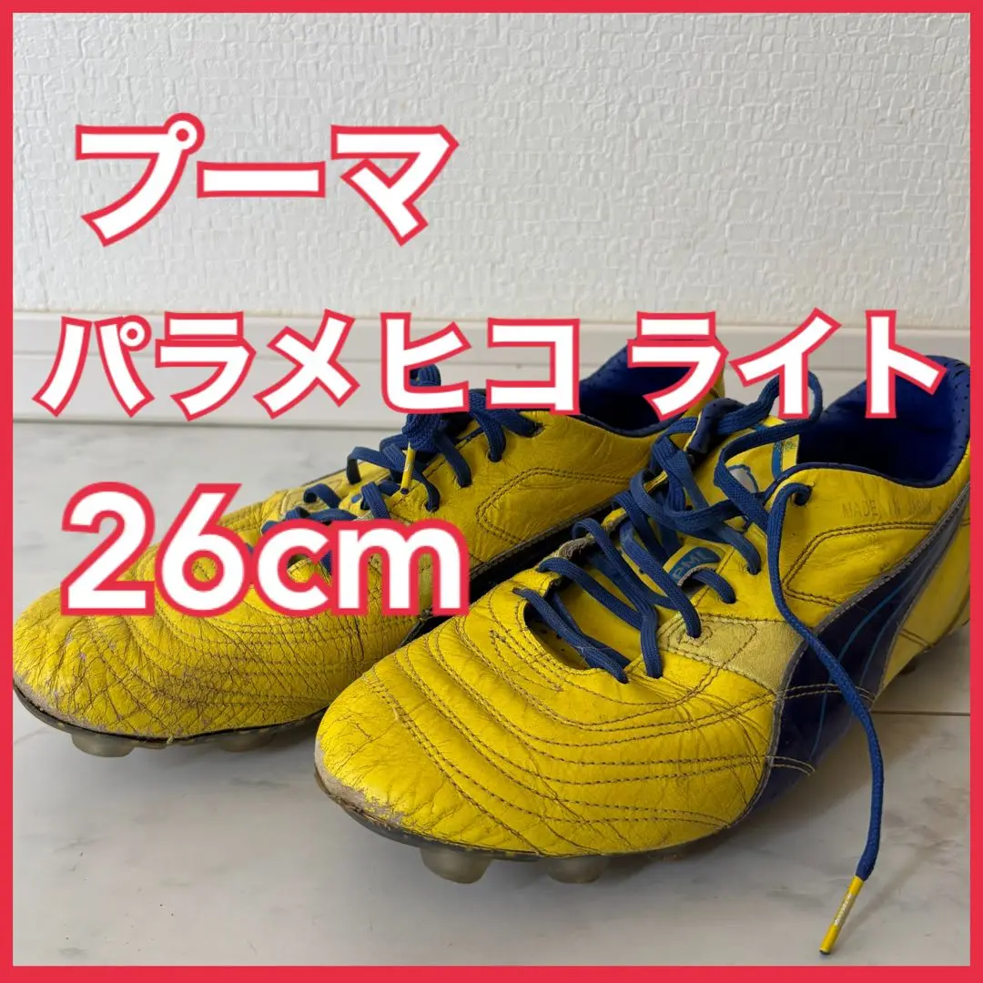 パラメヒコ メキシコライト26㎝ パラメヒコ メキシコライト26㎝ - メルカリ