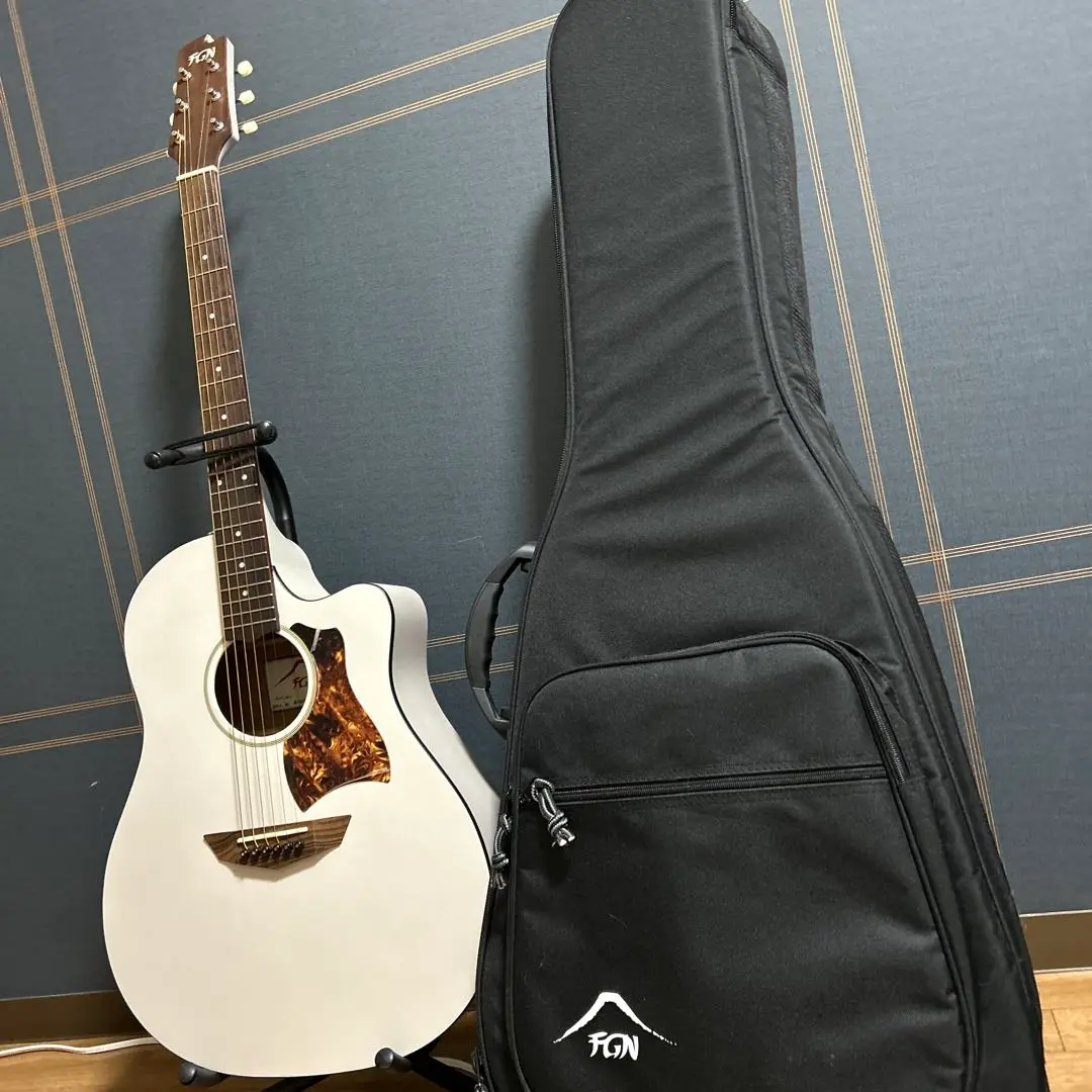 プレイヤーズコンディションLawrencePU鳴るフジゲンアンボーイRE20N 2025年最新】anboy re-の人気アイテム - メルカリ