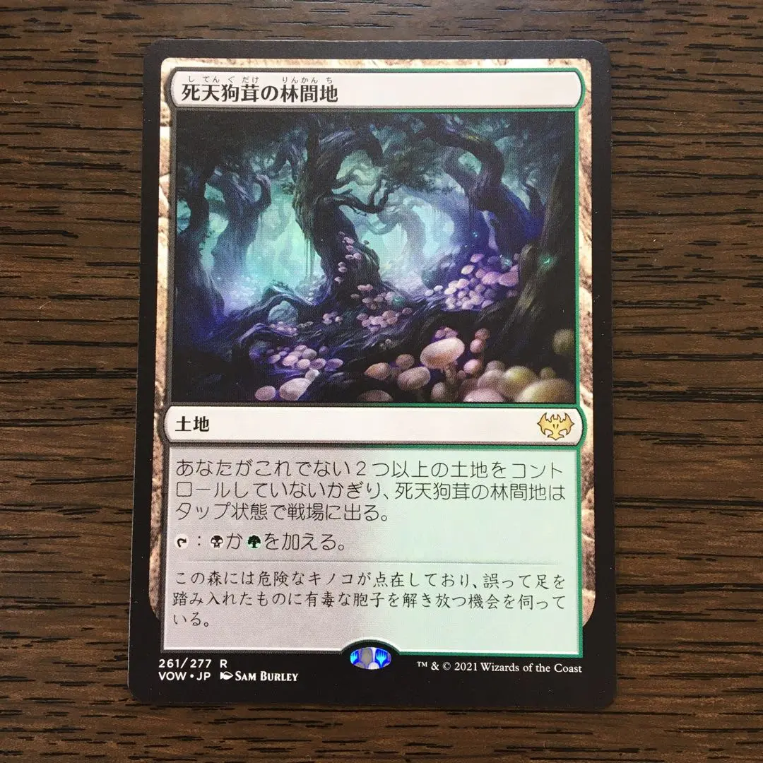 MTG 死天狗茸の林間地 Foil ボーダレス ロシア語 2025年最新】死天狗茸の林間地の人気アイテム - メルカリ