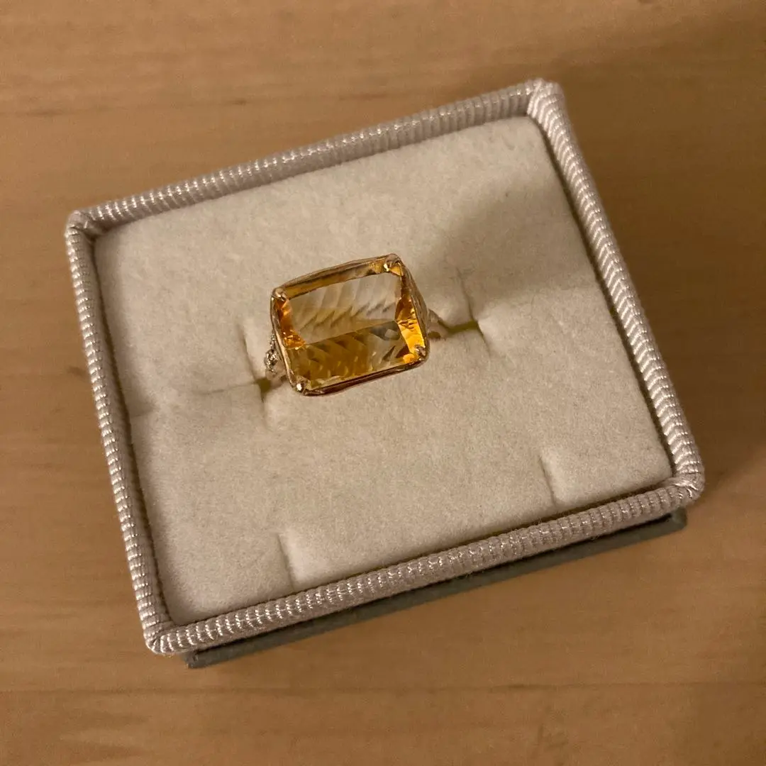 Fillyjonk フィリフヨンカ ランドスケープアゲートリング　9号 Fillyjonk(フィリフヨンカ) Moss ring | デンドリティック